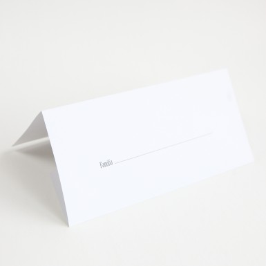 Plic de bani - BPB303
