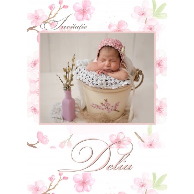 Invitatie botez BIB207